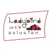 Ladybird Web Solution is Hiring Software Development Interns (3 Months)